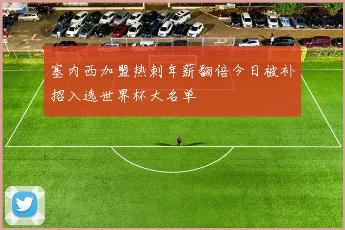 塞内西加盟热刺年薪翻倍今日被补招入选世界杯大名单