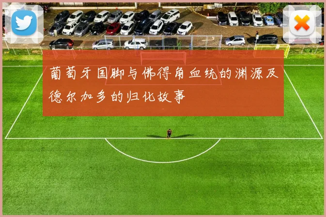 葡萄牙国脚与佛得角血统的渊源及德尔加多的归化故事