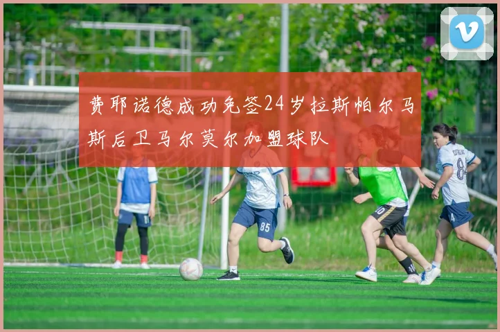 费耶诺德成功免签24岁拉斯帕尔马斯后卫马尔莫尔加盟球队